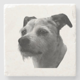 Steady Companion – Parson Russell Terrier ストーンコースター