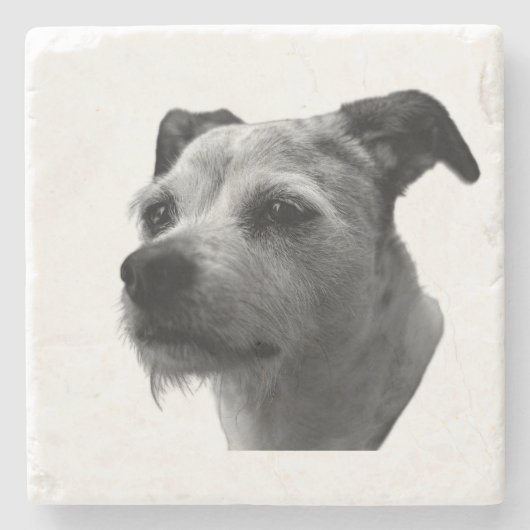 Steady Companion – Parson Russell Terrier ストーンコースター (正面)