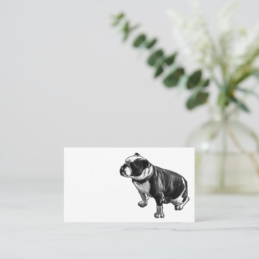 Steady Is Enough 名刺 (スタンド正面)