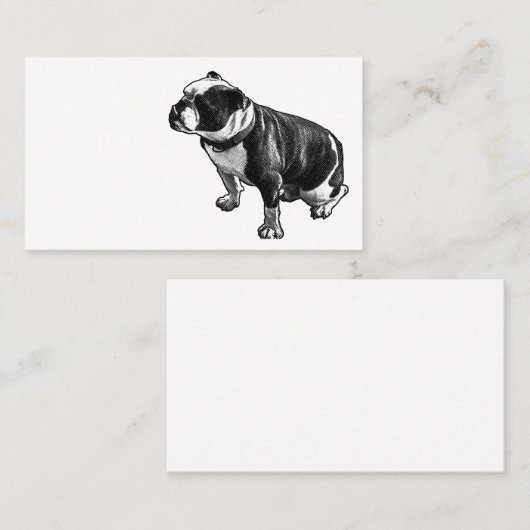 Steady Is Enough 名刺 (正面/裏面)