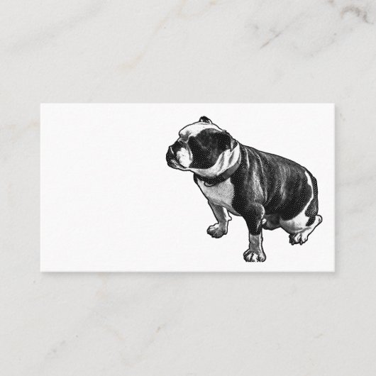 Steady Is Enough 名刺 (正面)