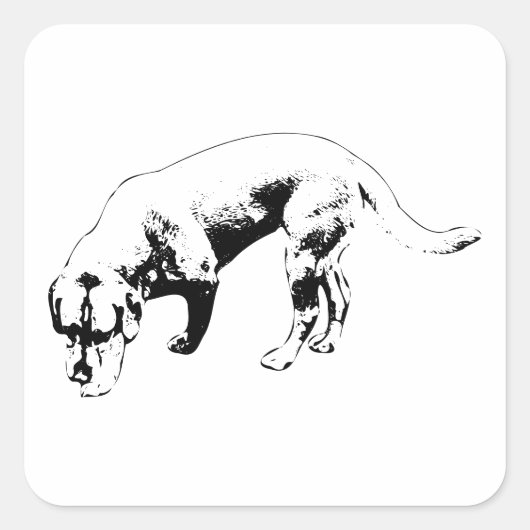 Steady Nose to Ground スクエアシール (正面)