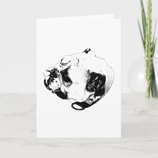 Steady Warm Message カード (正面)