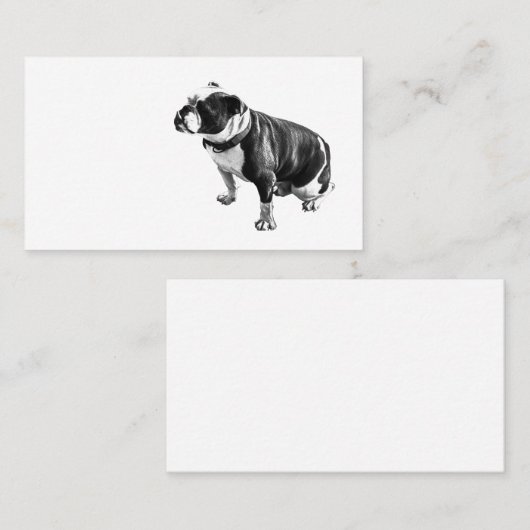 Steady Without Hurry 名刺 (正面/裏面)