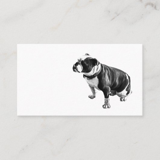 Steady Without Hurry 名刺 (正面)