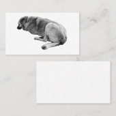 Steady Without Noise 名刺 (正面/裏面)