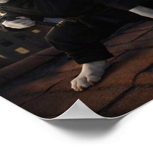 "Stealth Mode" ポスター (角)