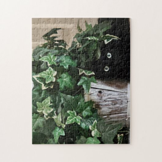 Stealth Mode Puzzle, 11" x 14", 252 pieces ジグソーパズル (縦)