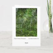 "Stealthy Trees" – デジタル変換された森 カード (裏面)