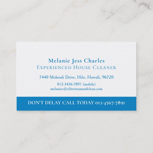 Steam Cleaning Business blue white  名刺 (裏面)