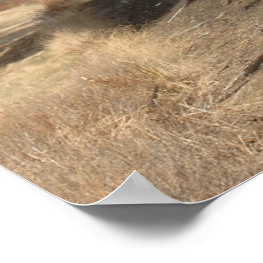 Steam Engine in the Sun Poster ポスター (角)