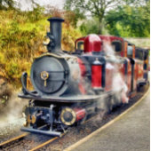 STEAM TRAIN ジグソーパズル