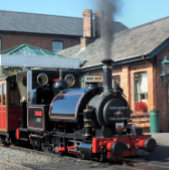 STEAM TRAINS ネクタイ