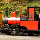 STEAM TRAINS   メタルランチボックス