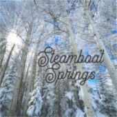 Steamboat Springs Patch シール (正面)