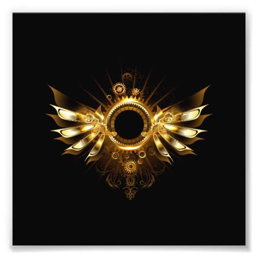 Steampunk wings フォトプリント            (正面)