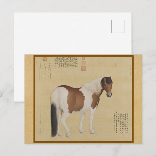 Steed - A Horse Named Nieyunshi 中国のファインアート ポストカード (正面/裏面)