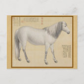 Steed - "As-You-Wish" Piebald 中国のファインアート ポストカード (正面)