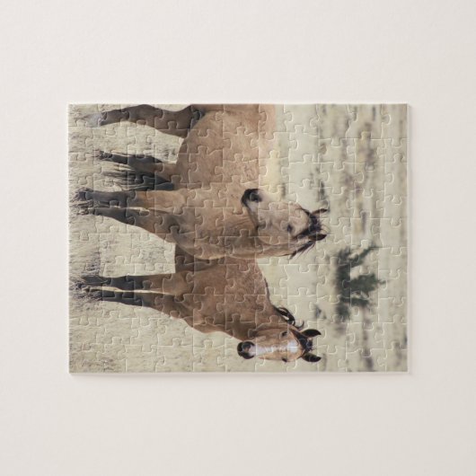 Steens Mustangs Puzzle  ジグソーパズル (横)