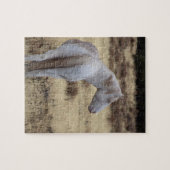 Steens Mustangs Puzzle  ジグソーパズル (横)