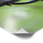 Steer素朴付きディナービル フォトプリント (角)