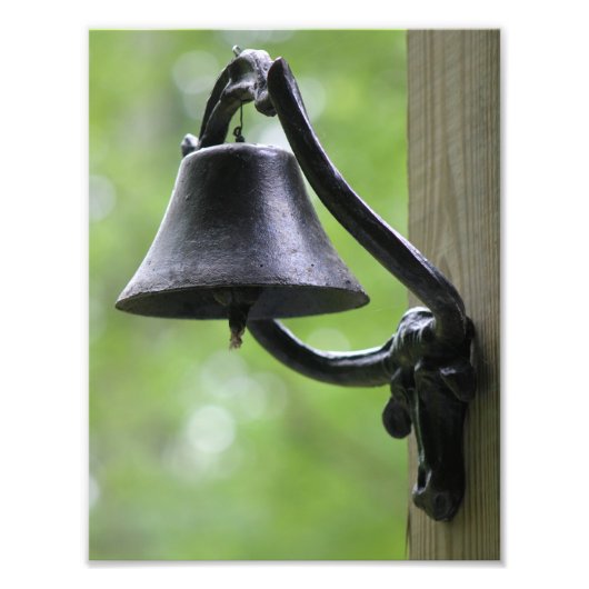 Steer素朴付きディナービル フォトプリント (正面)