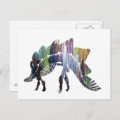Stegosaurus ポストカード (正面/裏面)