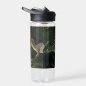 Stegosaurus and Deinonychus With Name ウォーターボトル (右面)