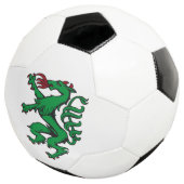 Steiermark Rot Grün Wappen Panther Österreich サッカーボール (3/4)