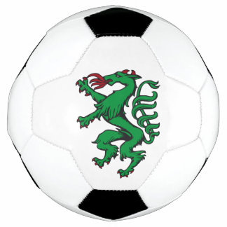 Steiermark Rot Grün Wappen Panther Österreich サッカーボール