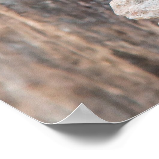 Stein und Holz (vertikal) ポスター (角)