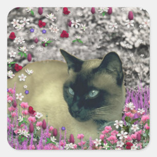 Stella in Flowers I – チョコレートクリームシャメネコ スクエアシール