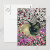 Stella in Flowers I – チョコレートクリームシャメネコ ポストカード (正面/裏面)