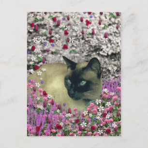 Stella in Flowers I – チョコレートクリームシャメネコ ポストカード