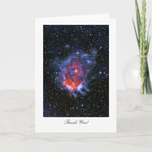 Stellar子供部屋RCW120 -ことわざありがとう サンキューカード (正面)