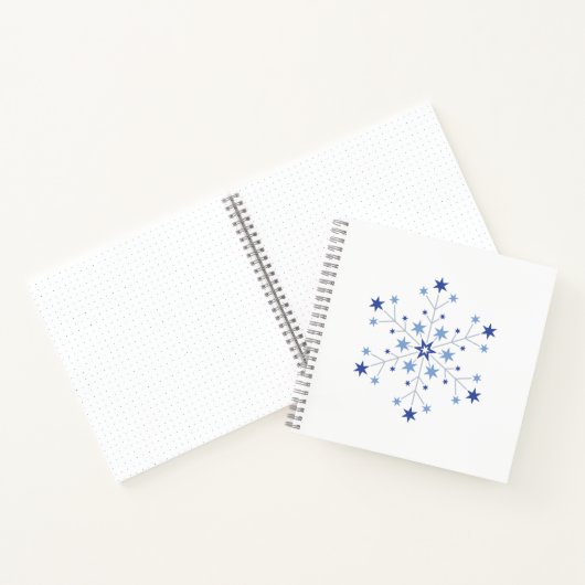 Stellar Beginnings ノートブック (内部)