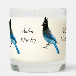 Stellar Blue Jay glass candle