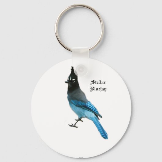 Stellar Blue Jay key chain キーホルダー (正面)