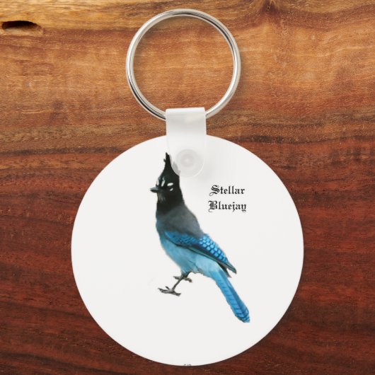Stellar Blue Jay key chain キーホルダー (正面)