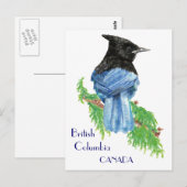 Stellar Jay,ブリティッシュコロンビア,バード,自然 ポストカード (正面/裏面)
