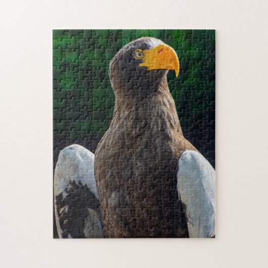 Stellar Sea Eagle Jigsaw puzzle ジグソーパズル (縦)