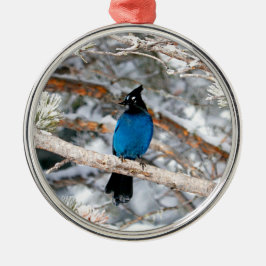 Steller’s Jay Round メタルオーナメント