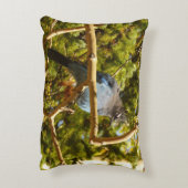 Steller's Jay at Rocky Mountain National Park アクセントクッション (裏面(縦))