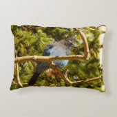 Steller's Jay at Rocky Mountain National Park アクセントクッション (裏面)