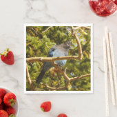 Steller's Jay at Rocky Mountain National Park スタンダードランチョンナプキン (インサイチュ)