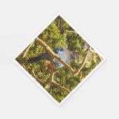 Steller's Jay at Rocky Mountain National Park スタンダードランチョンナプキン (角)