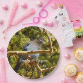 Steller's Jay at Rocky Mountain National Park ペーパープレート (パーティー)