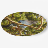 Steller's Jay at Rocky Mountain National Park ペーパープレート (アングル)