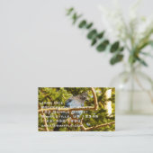 Steller's Jay at Rocky Mountain National Park 名刺 (スタンド正面)