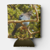 Steller's Jay at Rocky Mountain National Park 缶クーラー (裏面)